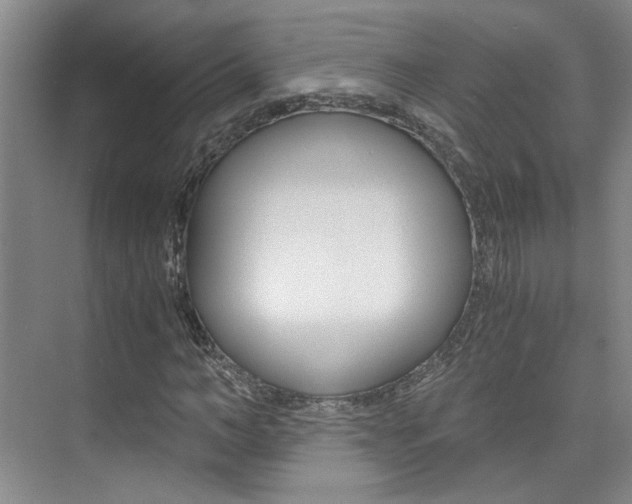 X0000073840966200608101023