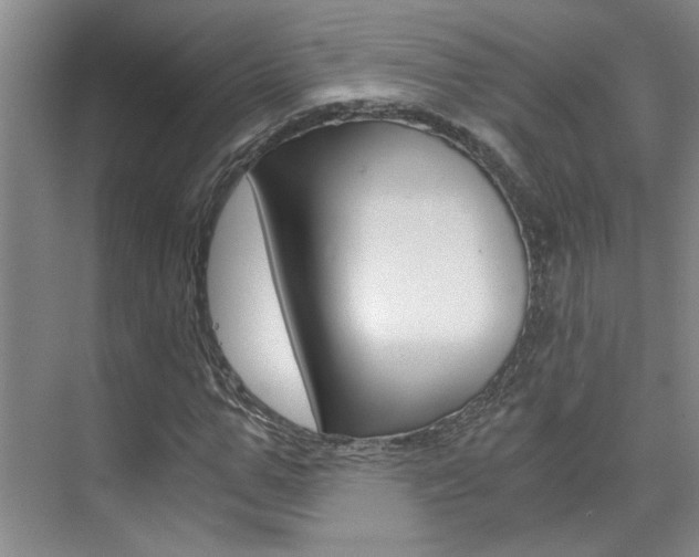 X0000073840967200608101023