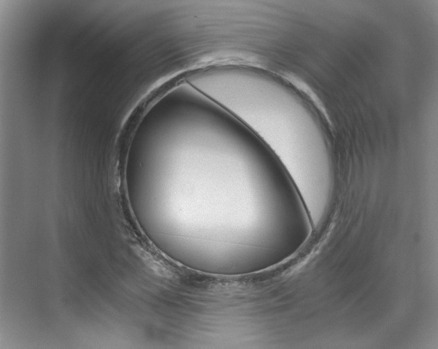 X0000073840973200608101023