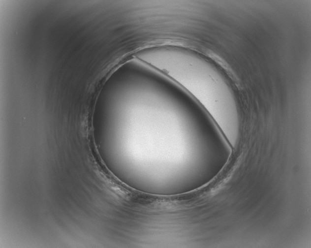 X0000073840977200608101023