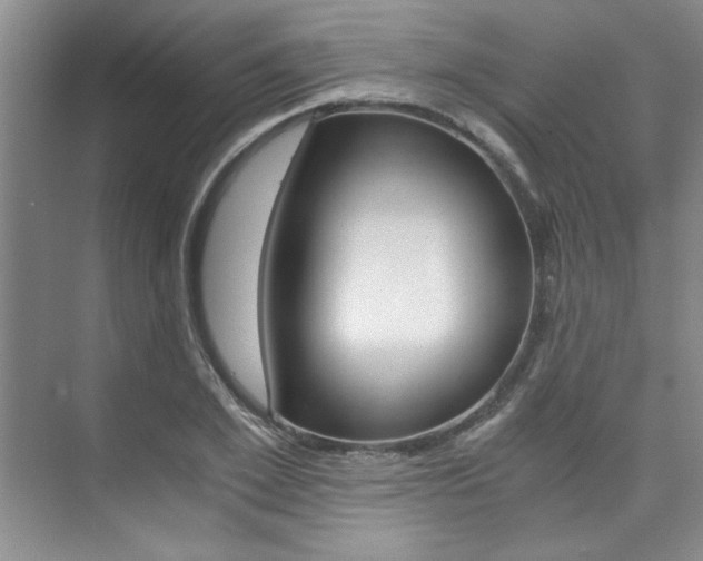 X0000073840981200608101023
