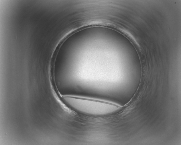 X0000073840991200608101023