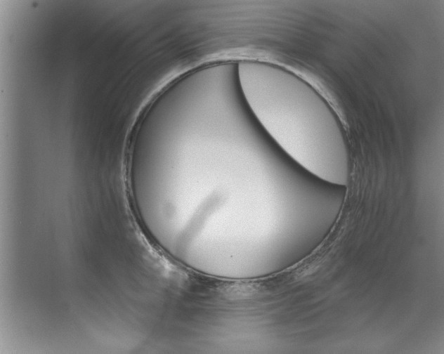 X0000073840998200608101022
