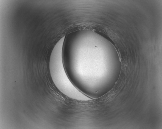 X0000073841010200608101021