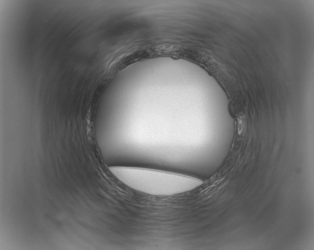 X0000073841011200608101021