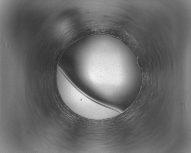X0000073841012200608101021