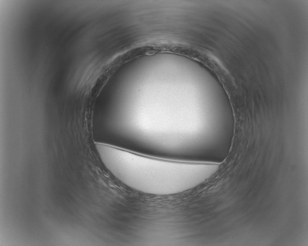 X0000073841016200608101022