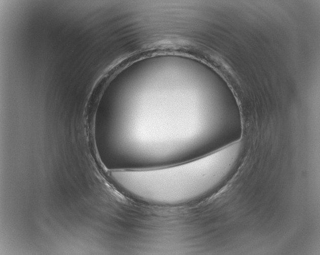 X0000073841018200608101022