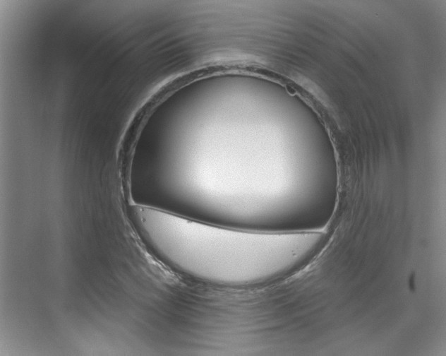 X0000073841022200608101022