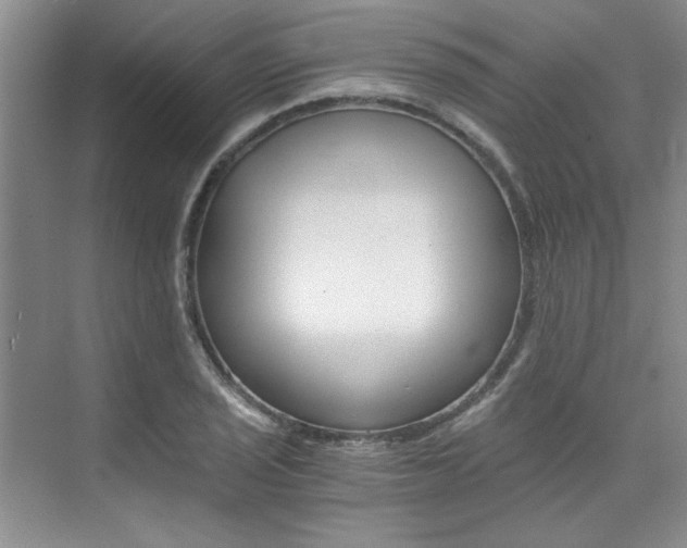 X0000073841029200608101022