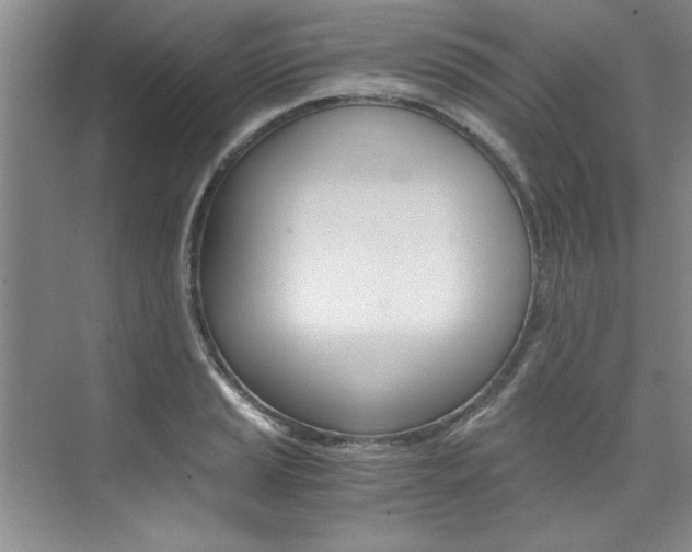 X0000073841037200608101022