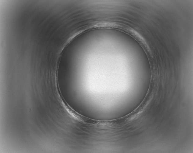 X0000073841041200608101022