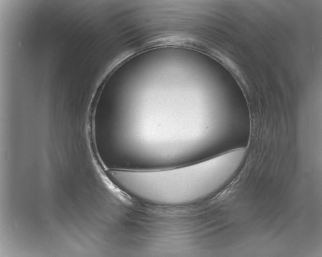 X0000073841042200608101022