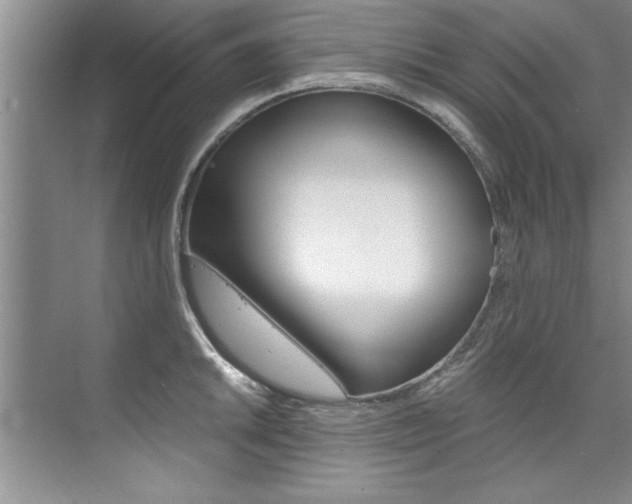 X0000073841046200608101022