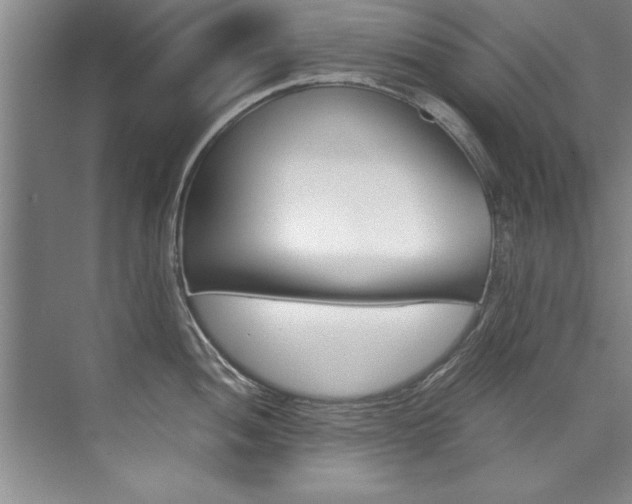 X0000073841052200608101022