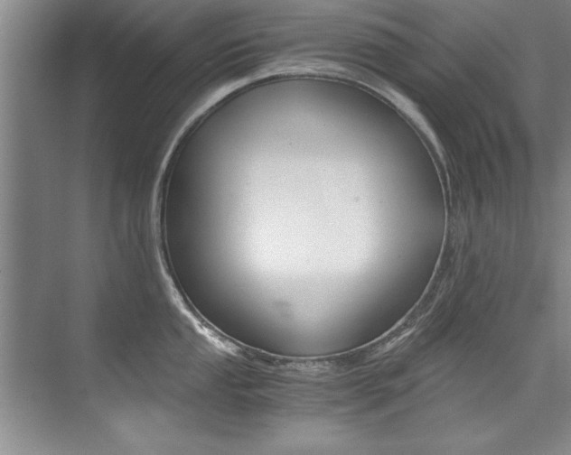X0000073841053200608101022