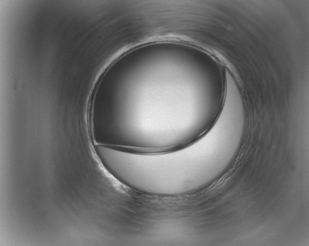 X0000073841054200608101022