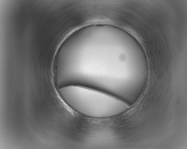 X0000073841056200608101022