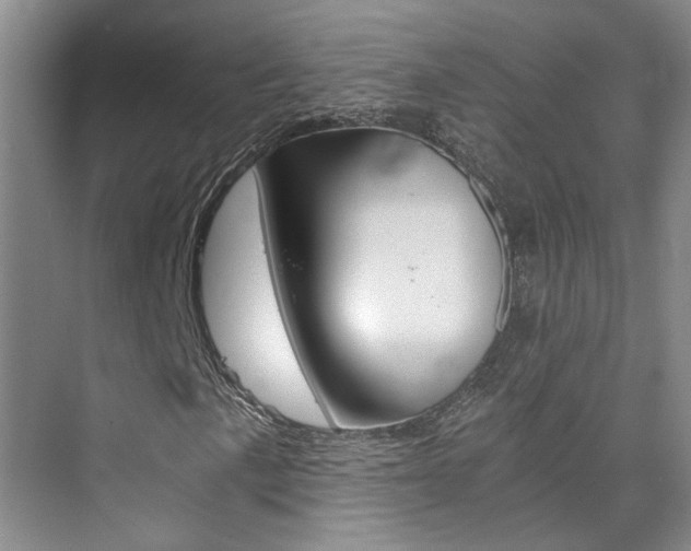X0000073841057200608101021