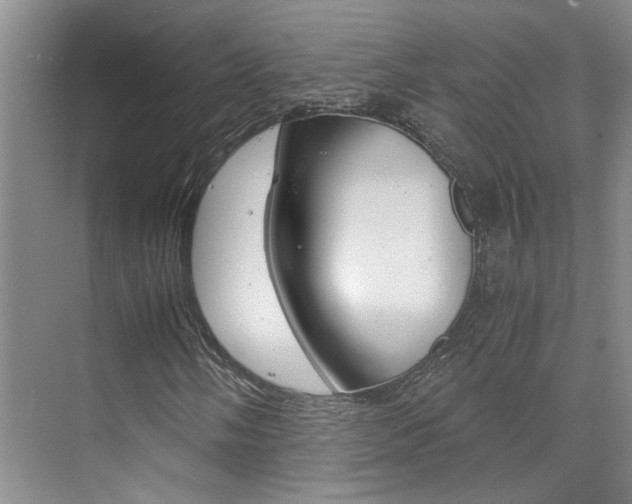 X0000073841058200608101021