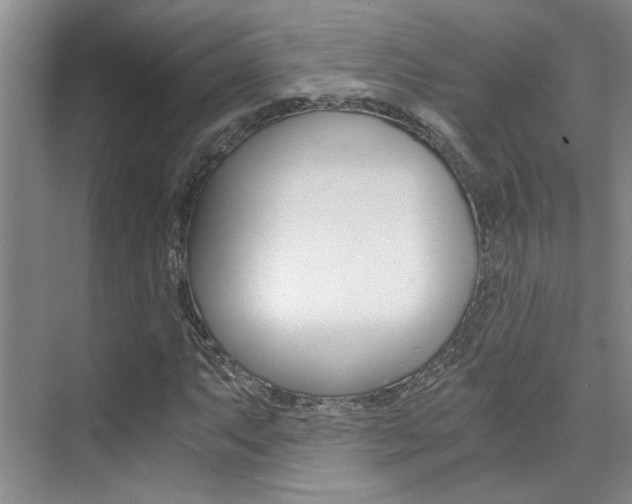 X0000073841063200608101021