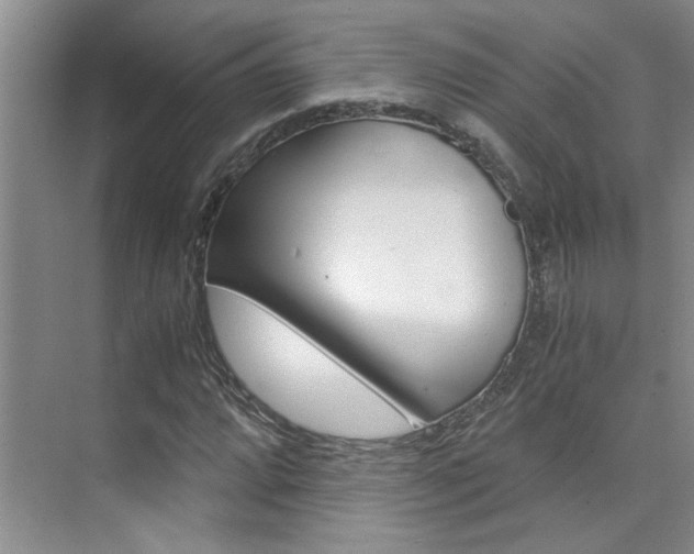 X0000073841064200608101021