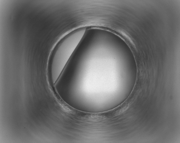 X0000073841077200608101021