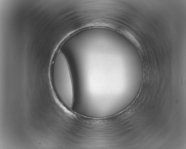 X0000073841084200608101021