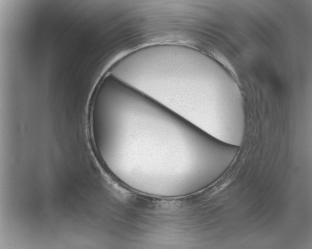 X0000073841087200608101021
