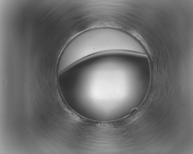X0000073841089200608101021