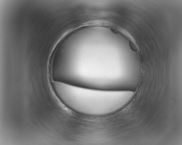 X0000073841091200608101021