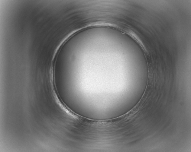 X0000073841092200608101021