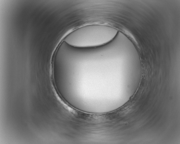 X0000073841095200608101021
