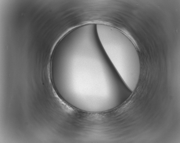 X0000073841100200608101021