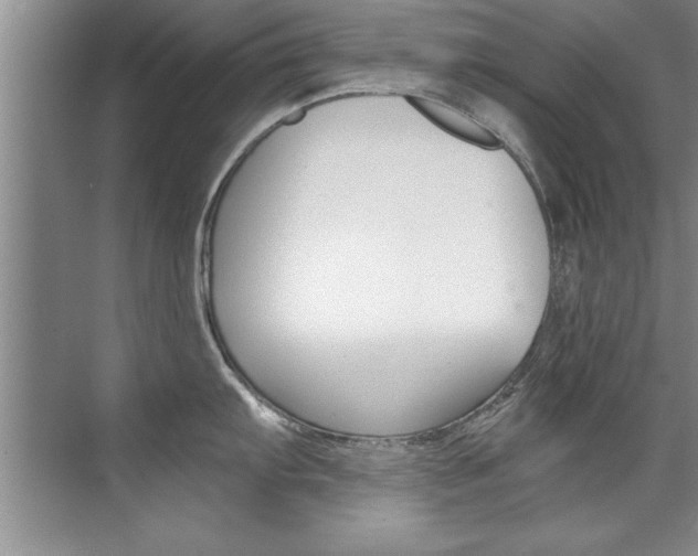 X0000073841103200608101021