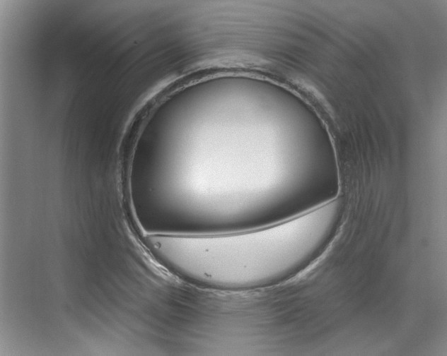 X0000073841114200608101020