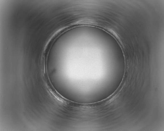 X0000073841123200608101020