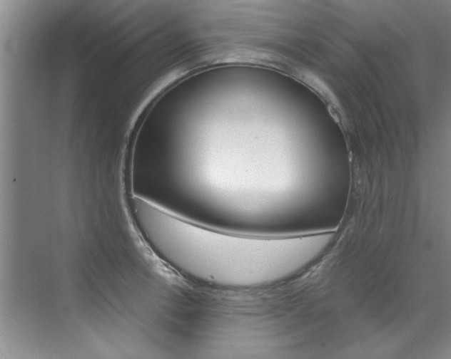 X0000073841138200608101020