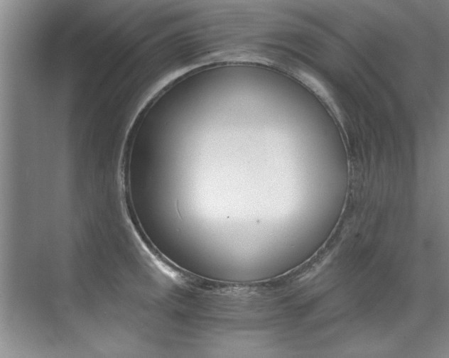 X0000073841141200608101020