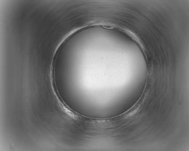 X0000073841149200608101021