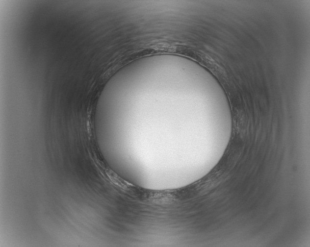 X0000073841154200608101020