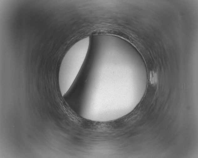 X0000073841155200608101020