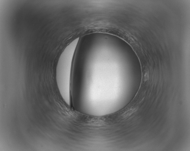 X0000073841156200608101020