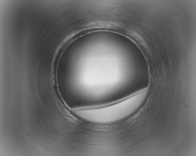 X0000073841172200608101019