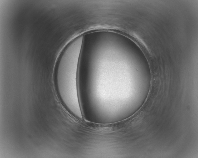 X0000073841173200608101019
