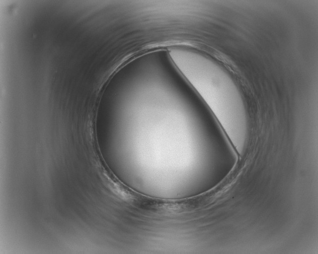 X0000073841177200608101019