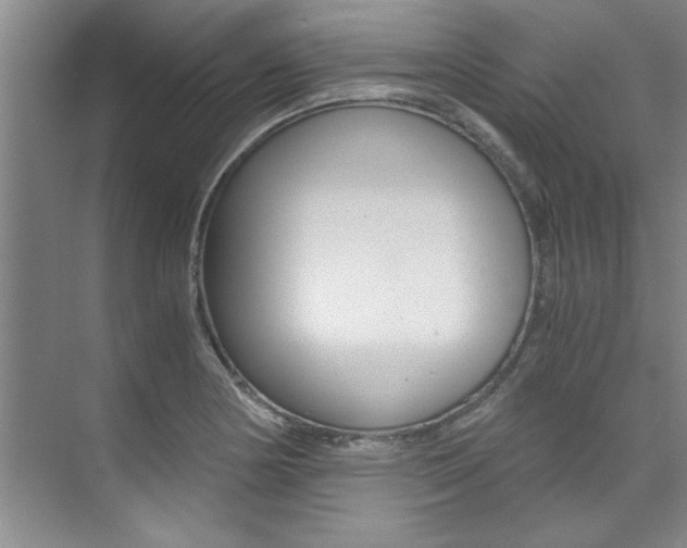 X0000073841178200608101019