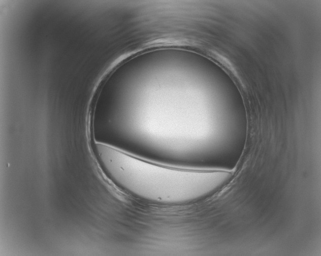 X0000073841179200608101019