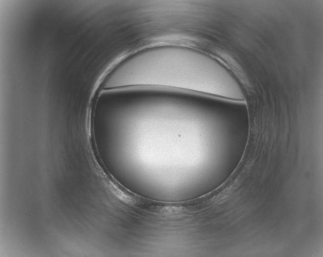 X0000073841180200608101019
