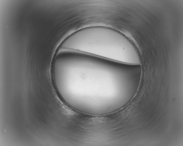 X0000073841181200608101019